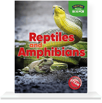 Cover-with-shelf-REPTILES