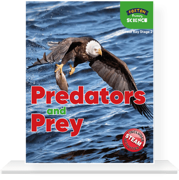 Lower-KS2-Predators-and-Prey