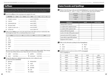 The Vocabulary Expander - Themed Vocabulary for 11+ & KS2 - Years 5 & 6 - Book 2 - Image 7
