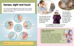 Foxton Primary Science: The Human Body (Key Stage-1 Science) - Image 2