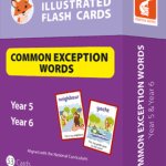 Common Exception Words Flash Cards - Year 5 & Year 6 Words