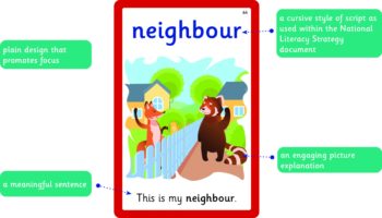 Common Exception Words Flash Cards - Year 5 & Year 6 Words - Image 2